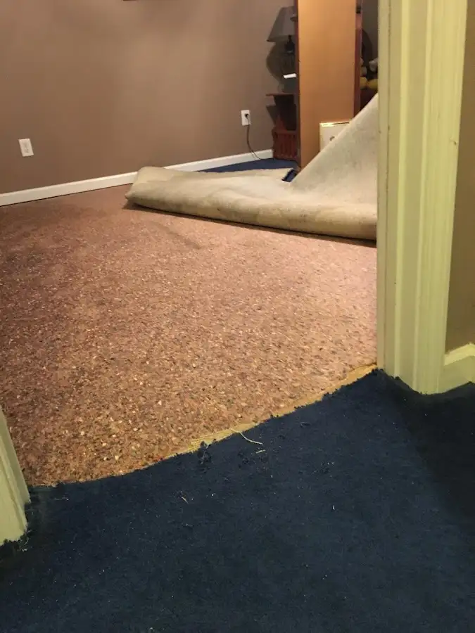 Carpet pad removal revealing water damage during Water Mitigation Services in Orange