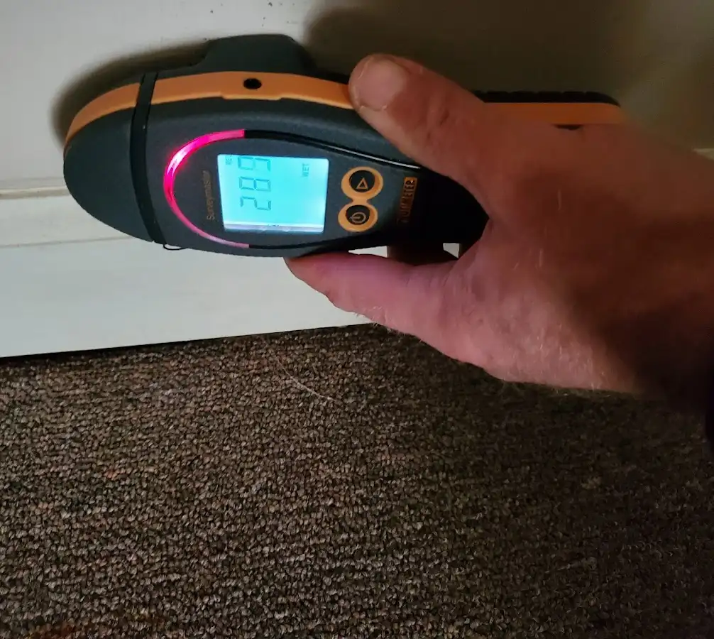 Moisture detection at baseboard during Sewage Cleanup & Sanitation in Orange